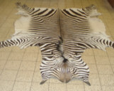 Exotische Felle